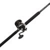 imagePENN Rival Levelwind Combo30 Size Reel  66  Medium Heavy  1pc