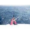 imagePenn Carnage II ampamp Carnage III Surf Conventional Fishing Rod11  Medium Heavy  2050lb  2pc