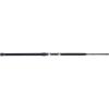imagePenn Carnage II ampamp Carnage III Surf Conventional Fishing Rod11  Medium Heavy  2050lb  2pc