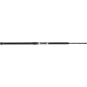 imagePenn Carnage II ampamp Carnage III Surf Conventional Fishing Rod11  Medium Heavy  2050lb  2pc