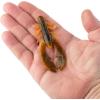 imageBerkley PowerBait Crazy Legs Chigger Craw Soft Plastic Lure 8 Pack Bass FishingAlabama Craw