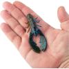 imageBerkley PowerBait Crazy Legs Chigger Craw Soft Plastic Lure 8 Pack Bass FishingOkeechobee Craw