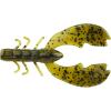 Summer Craw