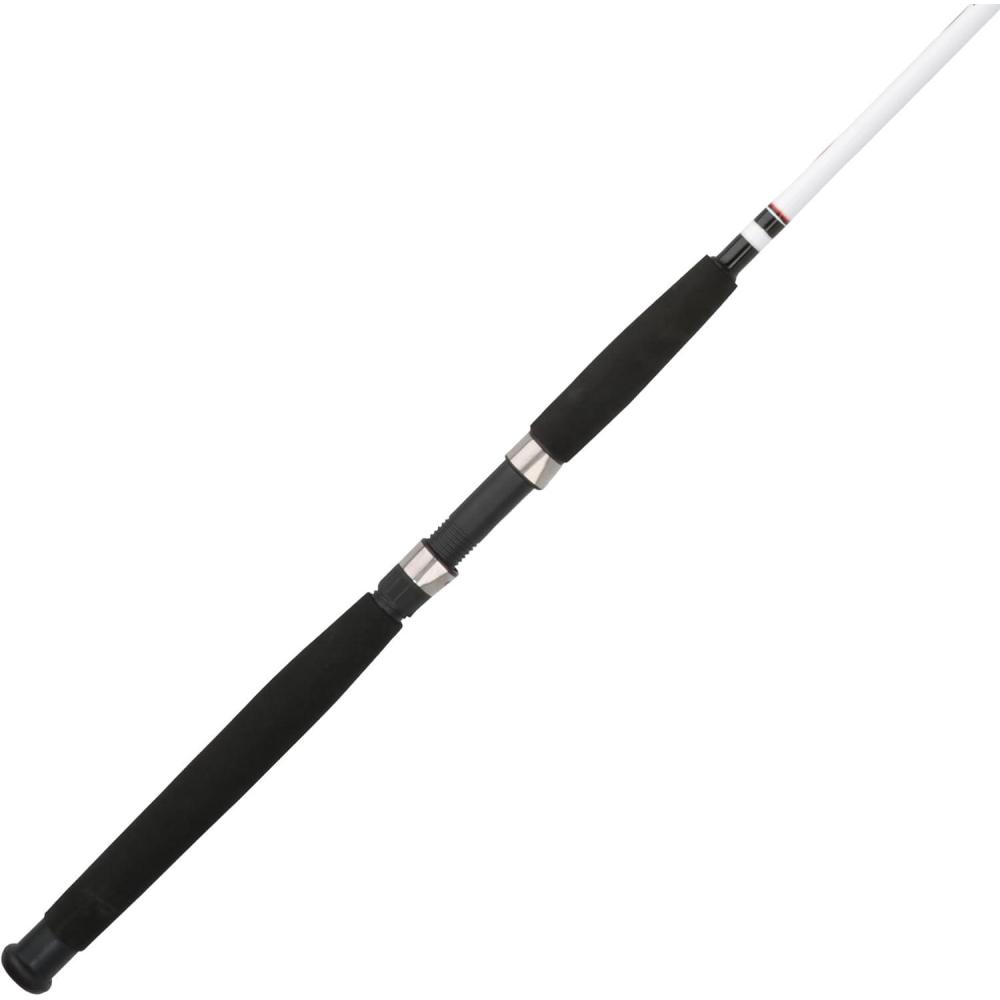 imageBerkley Big Game Spinning Fishing RodSpinning Rod