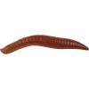 imageBerkley Gulp Floating Pinched Crawler Fishing Soft BaitNightcrawler  Garlic Scent
