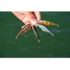 imageBerkley Scented Flicker Shad Fishing Hard BaitBlack Silver