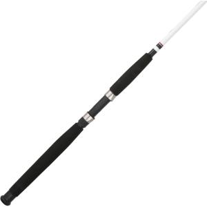 imageBerkley Big Game Spinning Fishing RodSpinning Rod