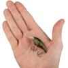 imageBerkley Money Badger Fishing Hard BaitGhost Green Craw
