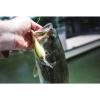 imageBerkley Money Badger Fishing Hard BaitVanilla Chartreuse