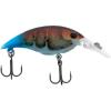 Killer Craw