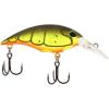 Root Beer Craw