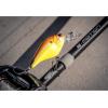 imageBerkley Berkley Bad ShadSpecial Red Craw
