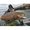 imageBerkley Berkley Bad ShadSpecial Red Craw