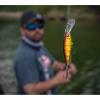 imageBerkley Berkley Bad ShadSpecial Red Craw