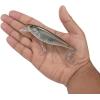 imageBerkley Juke Saltwater Fishing Hard BaitMangrove Minnow