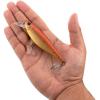 imageBerkley Juke Saltwater Fishing Hard BaitNew Penny
