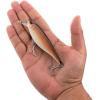 imageBerkley Juke Saltwater Fishing Hard BaitRedfish