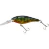 Flashy Perch