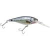 HD Spottail Shiner