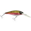 Rainbow Trout