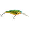 Speckled Gold Shiner