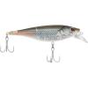 Mangrove Minnow