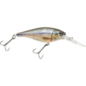 imageBerkley Flicker Shad Fishing Lure Green 1 PackHD Fathead Minnow