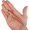 imageBerkley Hit Stick Saltwater Hard BaitNew Penny