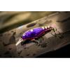 imageBerkley PBBPTPurple Tiger