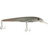 Mangrove Minnow
