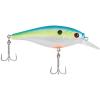 Racy Shad