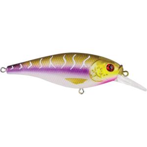 imageBerkley PBBPTPurple Tiger