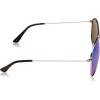 imageBerkley Fishing SunglassesSilverSmokeBlue Mirror