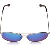 imageBerkley Fishing SunglassesSilverSmokeBlue Mirror