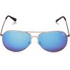 imageBerkley Fishing SunglassesSilverSmokeBlue Mirror