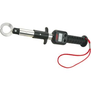 imageBerkley 12quot Big Game LipBig Game With Digital Scale