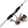 imageAbu Garcia Revo X Spinning Reel and Fishing Rod ComboNew Silver  Eva Grip
