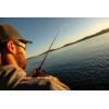 imageAbu Garcia Revo SX Rocket Low Profile Baitcast Fishing ReelOld Model