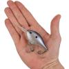 imageBerkley Dime Fishing Hard BaitBlue Shad
