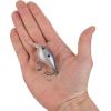 imageBerkley Dime Fishing Hard BaitBlue Shad