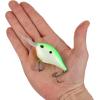 imageBerkley Dime Fishing Hard BaitCitrus Shad
