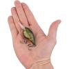 imageBerkley Dime Fishing Hard BaitGhost Green Craw