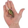 imageBerkley Dime Fishing Hard BaitGhost Green Craw