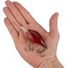 imageBerkley Dime Fishing Hard BaitGhost Red Craw