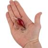 imageBerkley Dime Fishing Hard BaitGhost Red Craw