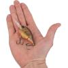 imageBerkley Dime Fishing Hard BaitHD Brown Craw