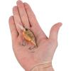 imageBerkley Dime Fishing Hard BaitHD Brown Craw