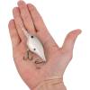 imageBerkley Dime Fishing Hard BaitHoney Shad