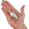 imageBerkley Dime Fishing Hard BaitHoney Shad
