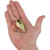 imageBerkley Dime Fishing Hard BaitKiller Gill